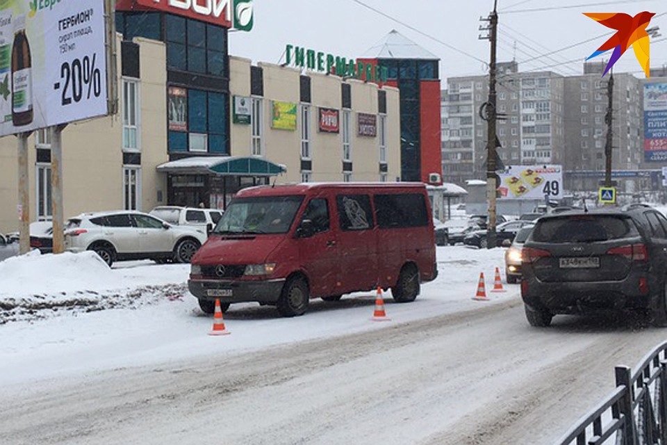 Водитель микроавтобуса не успел остановиться.