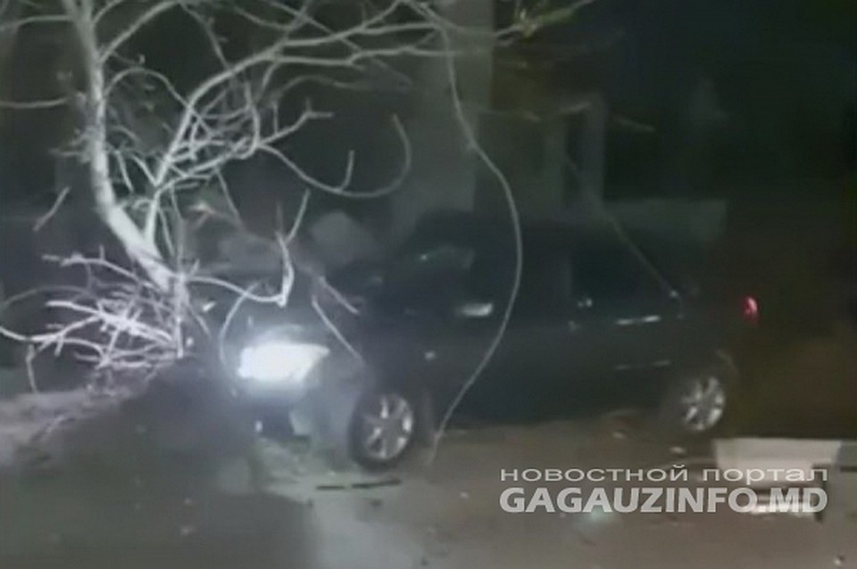 25-летний житель Комрата на большой скорости влетел в дерево. Фото: gagauzinfo.md