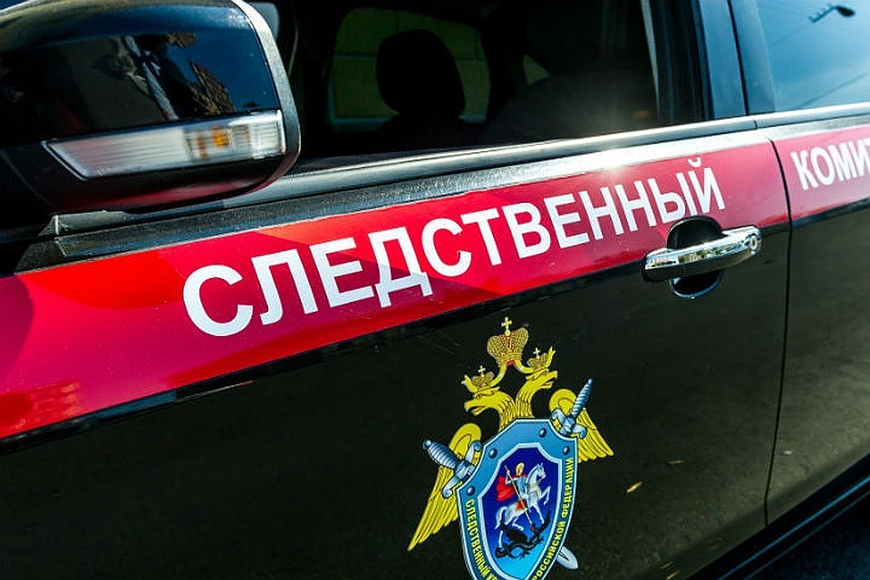 Младенец на свалке: следователи в Иркутской области просят откликнуться очевидцев