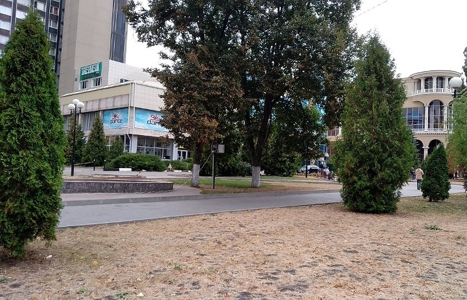С 8 по 11 апреля в ЮЗГУ будет проходить Неделя космоса