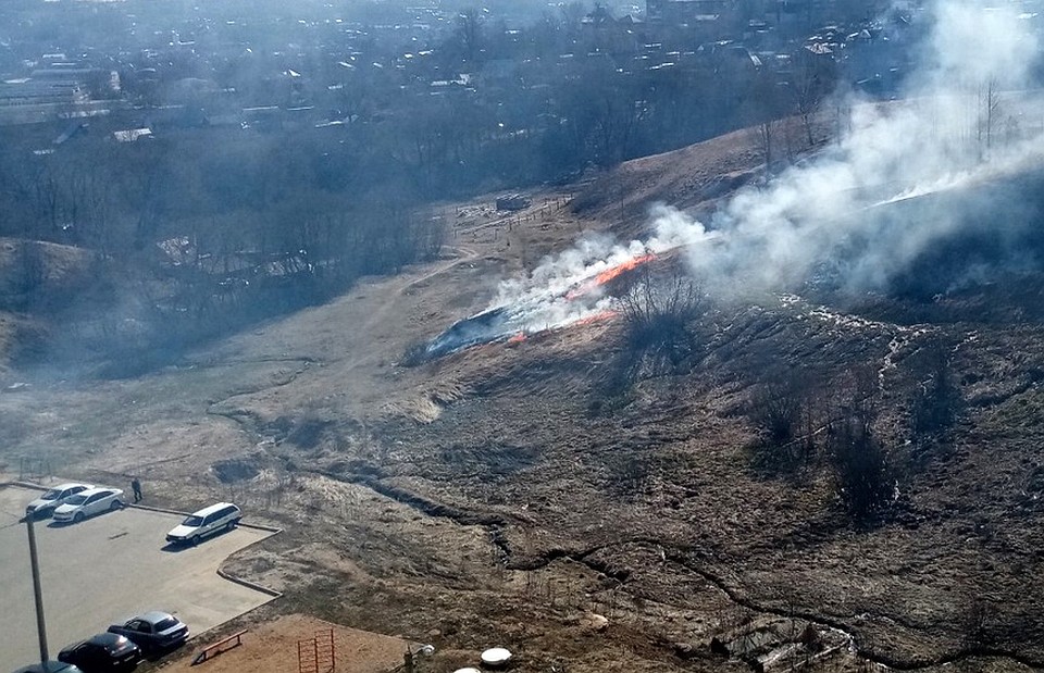 Фото: ВКонтакте.