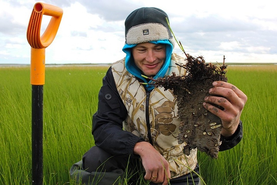 На Ямале за месяц исчезло целое озеро Фото: tsu.ru