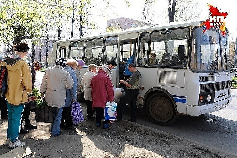 Ходить автобусы будут до 20 октября