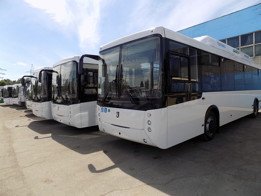 Автобусы ОАО «Пассажиртранс-1»