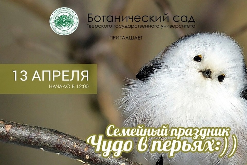 Начало праздника в 12.00