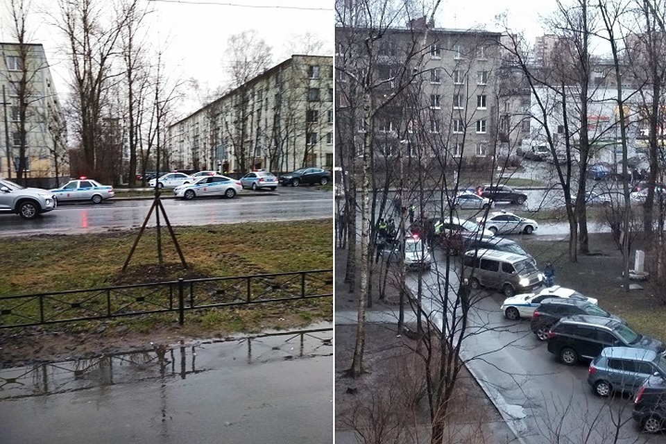 На углу Ленинского проспекта и улицы Зины Портновой со стрельбой ловили нарушителя. Фото: vk.com/spb_today
