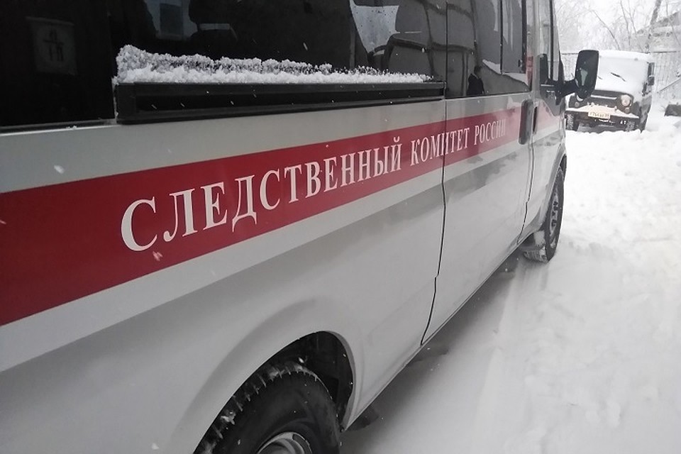 На Ямале будут судить подростка, который пытался зарубить владельца снегохода Фото: yanao.sledcom.ru