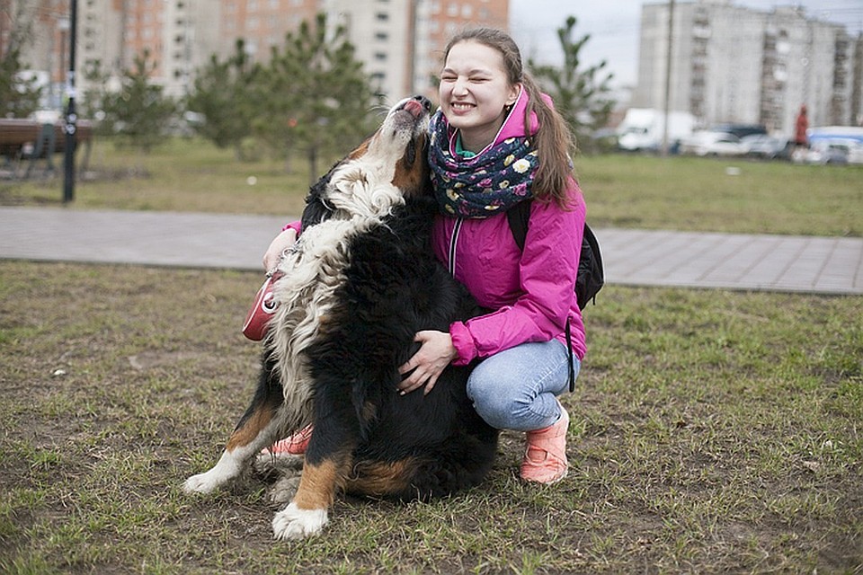 14 новых площадок для выгула собак появится в Нижнем Новгороде.