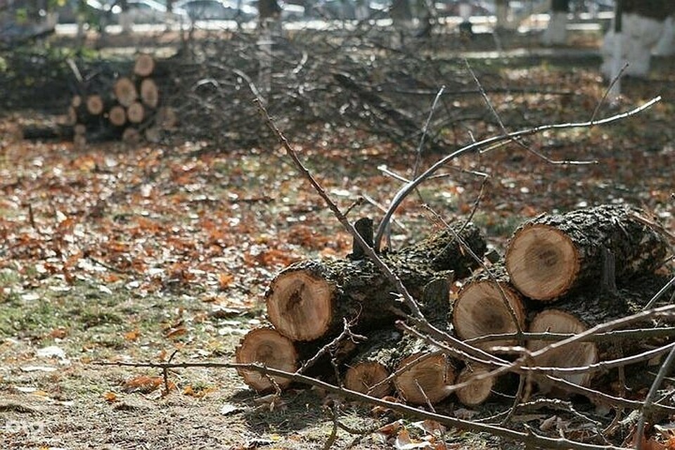 Фото: администрация Краснодарского края