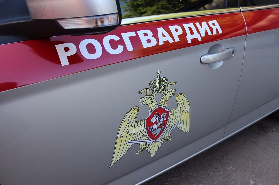 В Карабаше жительница зарезала мужа. Фото: пресс-служба Росгвардии по Челябинской области