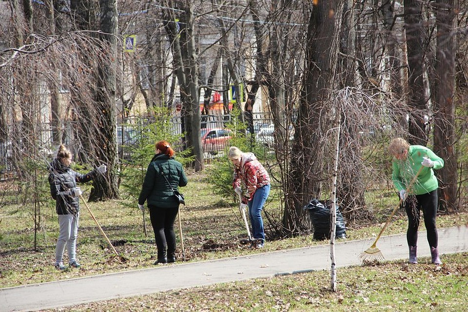 Фото: "Тульские парки"