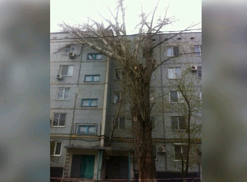 Фото - источник "КП-Волгоград".
