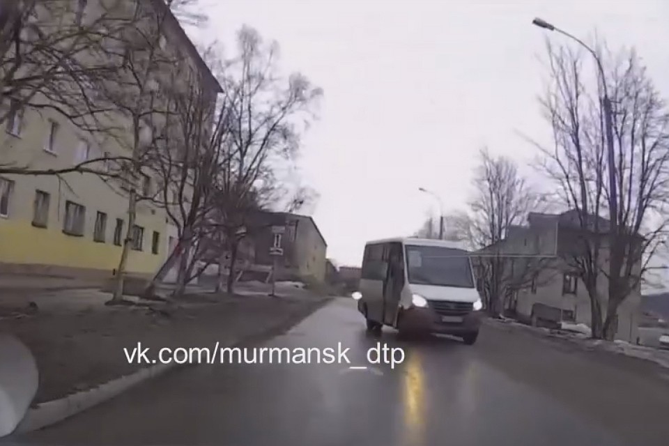 На видео хорошо видно, что никакой собаки перед автобусом нет и в помине. Фото: Мурманск ДТП ЧП