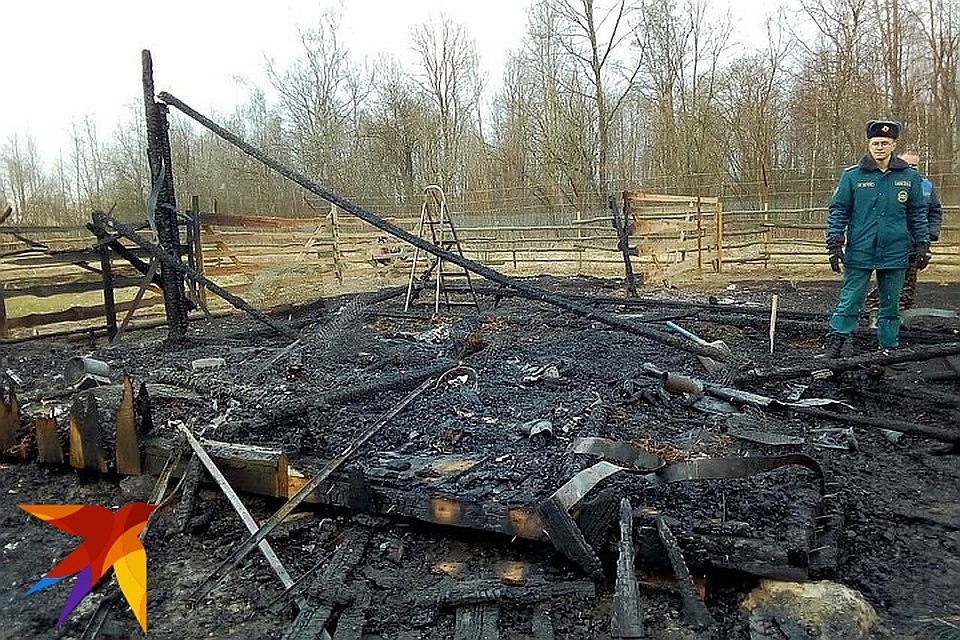 В частном приюте для птиц под Осиповичами произошел пожар. Фото: Жанна Столярова