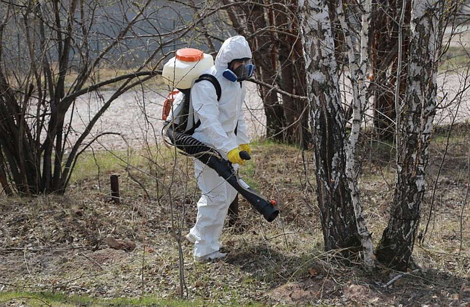 Омичей просят не ходить в парки в ближайшие дни