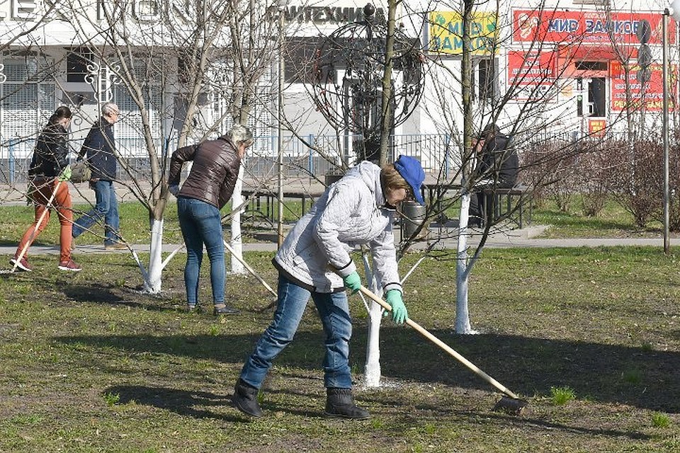 Фото: пресс-служба правительства Брянской области.