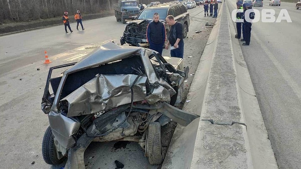Фото: служба спасения "Сова"
