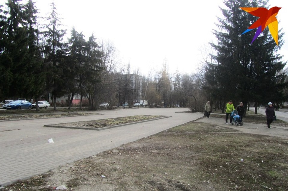 Курск озеленят