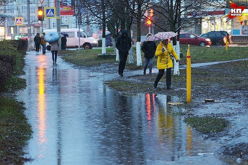 В мае в столицу вернутся ветра и непогода