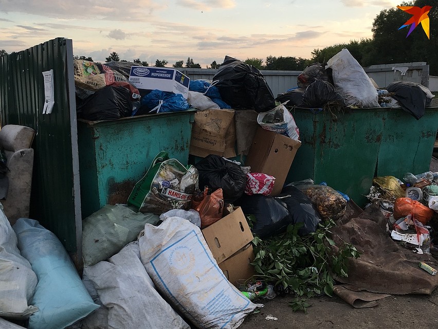 В Орле остается проблема с перенакоплением отходов в частном секторе