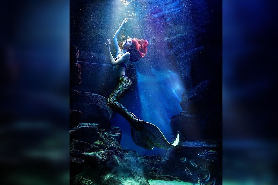 Девушка провела около часа в ледяной воде в окружении рыб. Фото: instagram.com/zsamuylova.