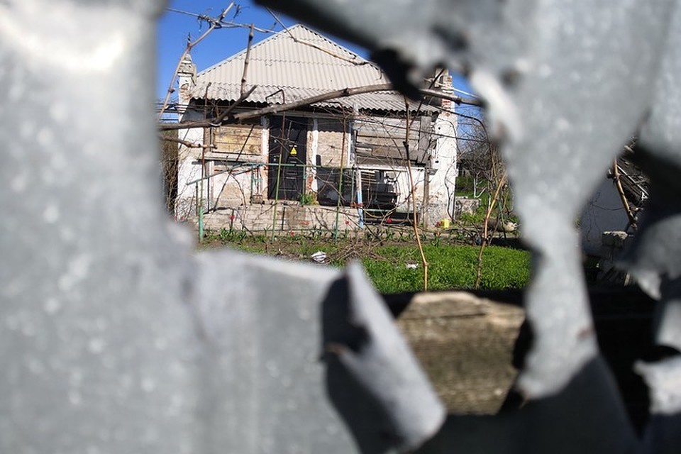 Донбасс вопреки смерти цветет.