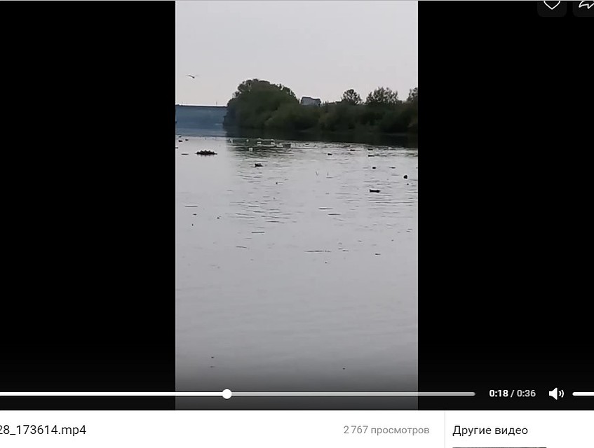 скрин с видео сообщества "Типичный Воронеж" соцсети "Вконтакте"