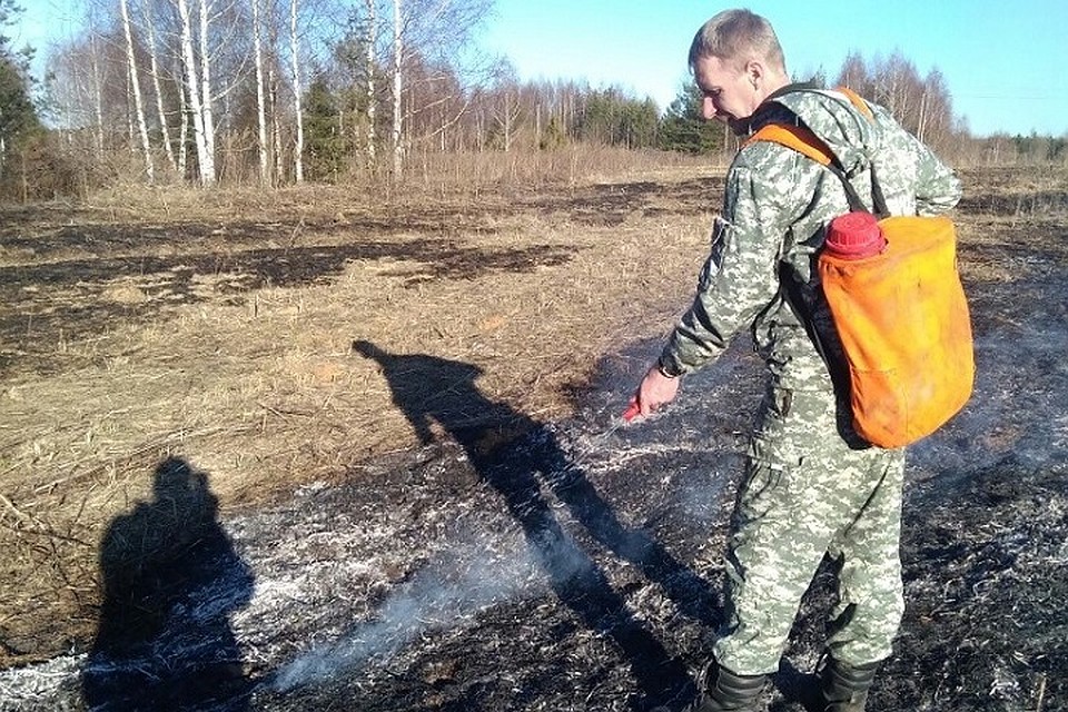 По результатам проверки к административной ответственности привлекли девять человек.