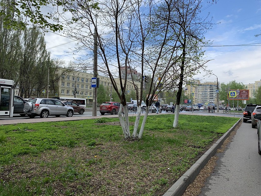 Фото: Дорога63