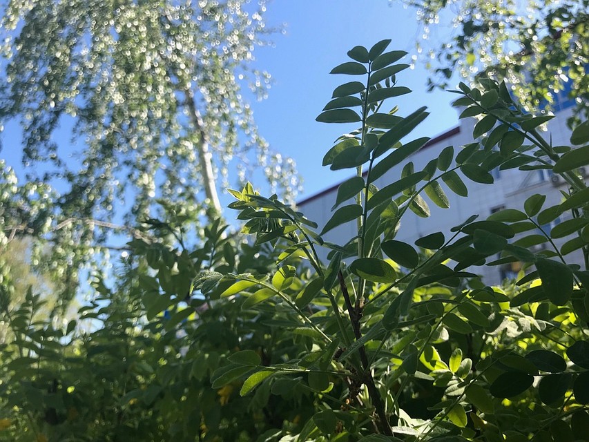 В Тюмень возвращается тепло