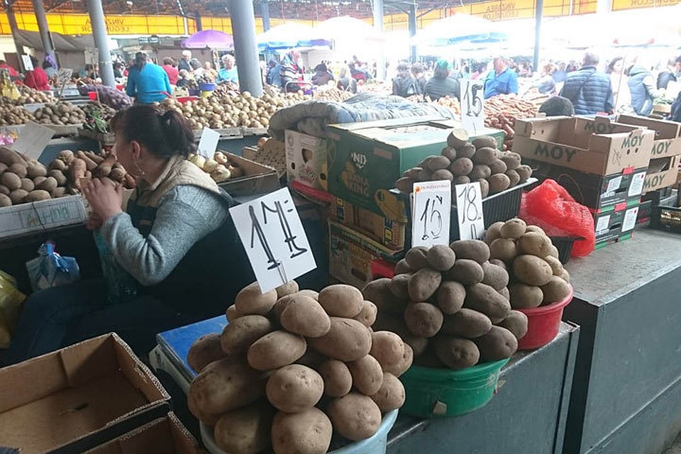 Национальное агентство по безопасности пищевых продуктов считает, что главными причинами повышения цен на картофель являются рост затрат на его производство