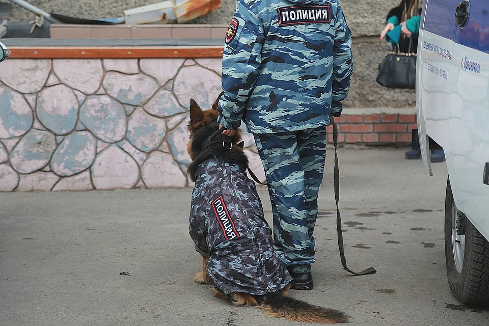 Подкараулил и ударил по голове. Напавший на 13-летнего школьника задержан по горячим следам.