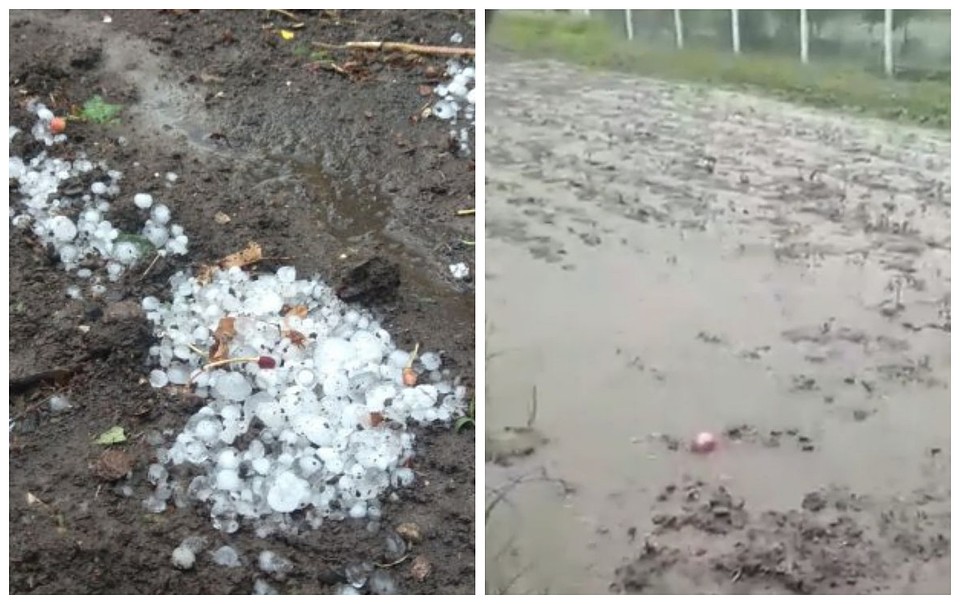 От непогоды пострадали сёла Фалештского и Окницкого районов. Фото: protv.md