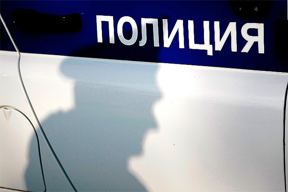 Полиции предстоит найти владельцев автомобиля и установить обстоятельства происшествия.