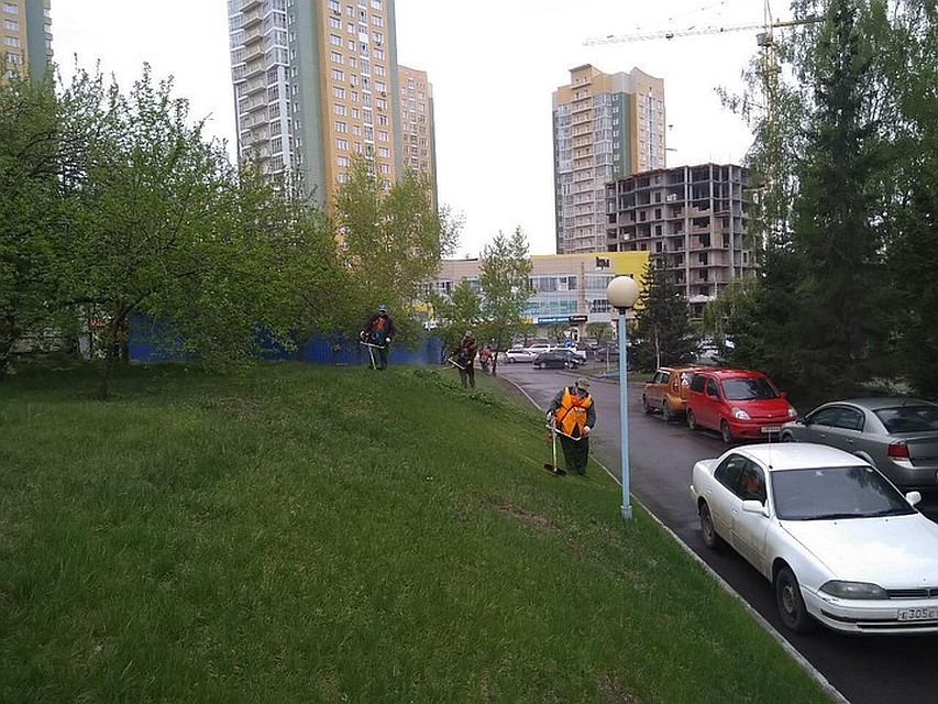 Всего в этом сезоне за состоянием лужаек и газонов будут следить около ста специалистов. Фото: пресс-служба администрации Красноярска