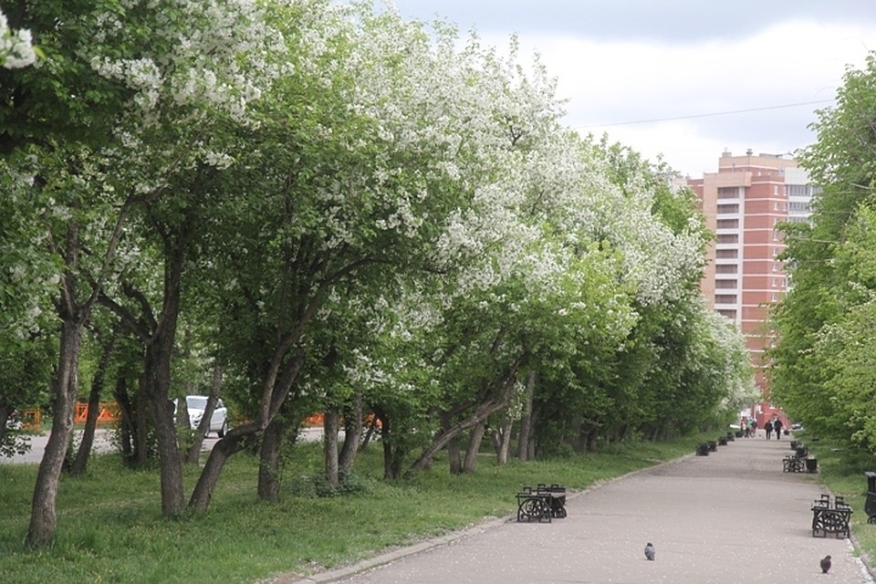 К 80-летию боев на Халхин-Голе в Краеведческом музее Иркутска 24 мая откроется выставка
