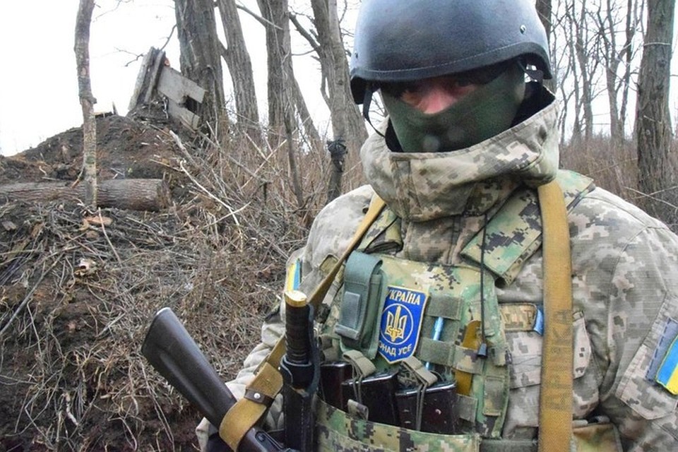Очень хозяйственные воины света оказались. Фото: novorosinform.org