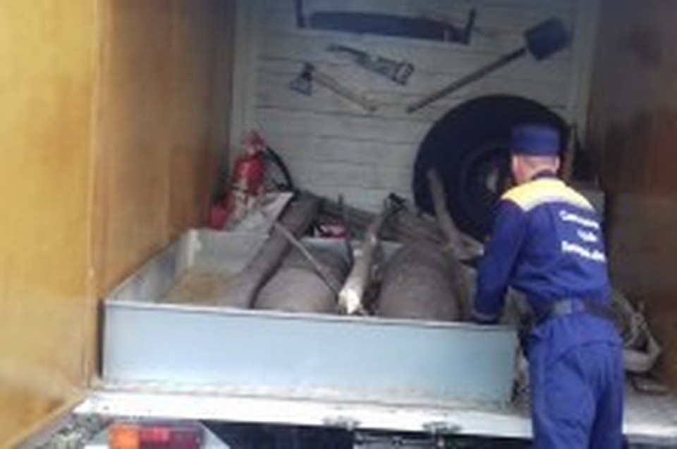 Под Липецком уничтожили авиабомбы