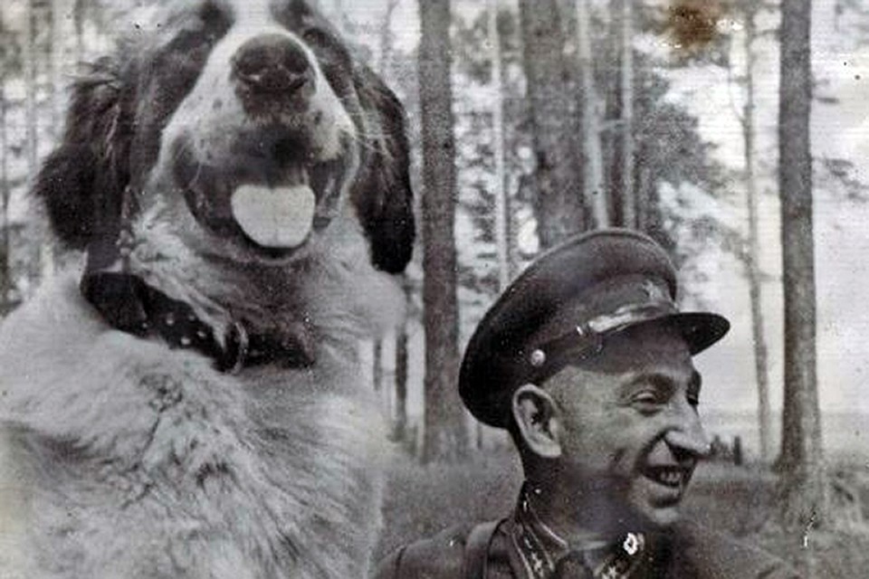 Александр Мазовер