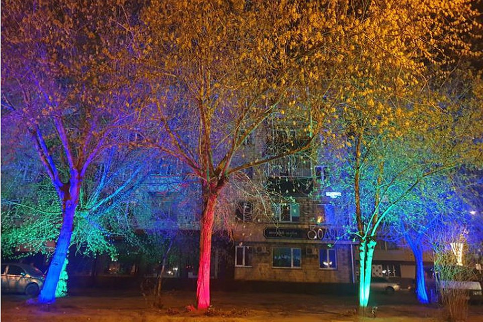 100 деревьев подсветили в Железнодорожном районе Красноярска. Фото: пресс-служба администрации Красноярска.