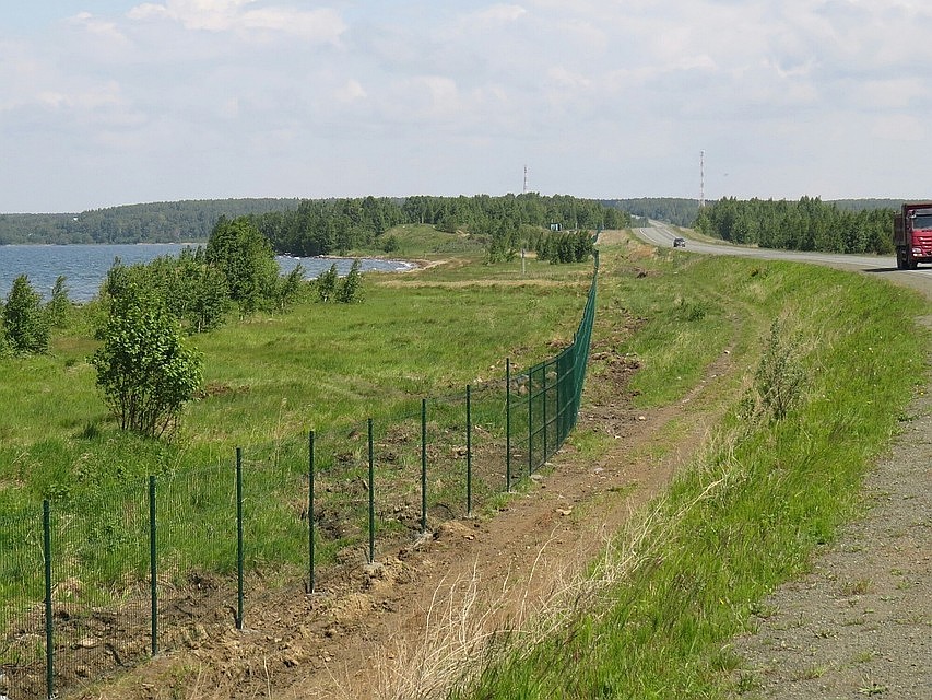 Забор тянется несколько километров. Фото: социальные сети.