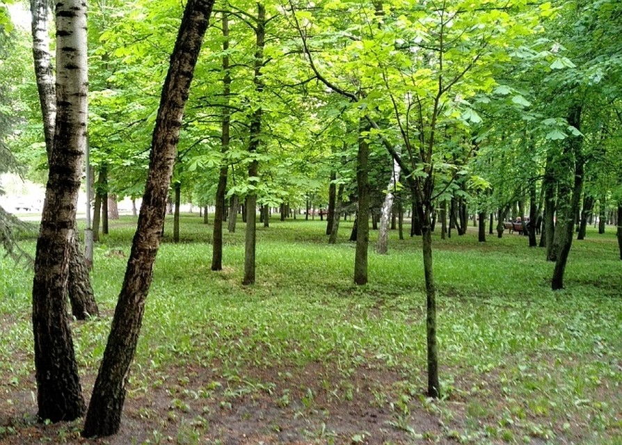 Температура воздуха ночью 10-15 °С, днем 20-25 °С