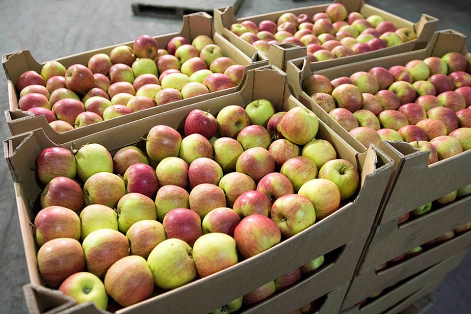 С контрабандной продукции пытались сорвать этикетки.