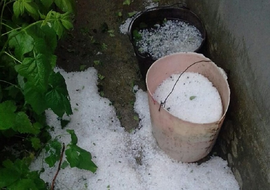 Такого в мае 2019 больше нигде в Молдове не было. Фото http://gagauzinfo.md