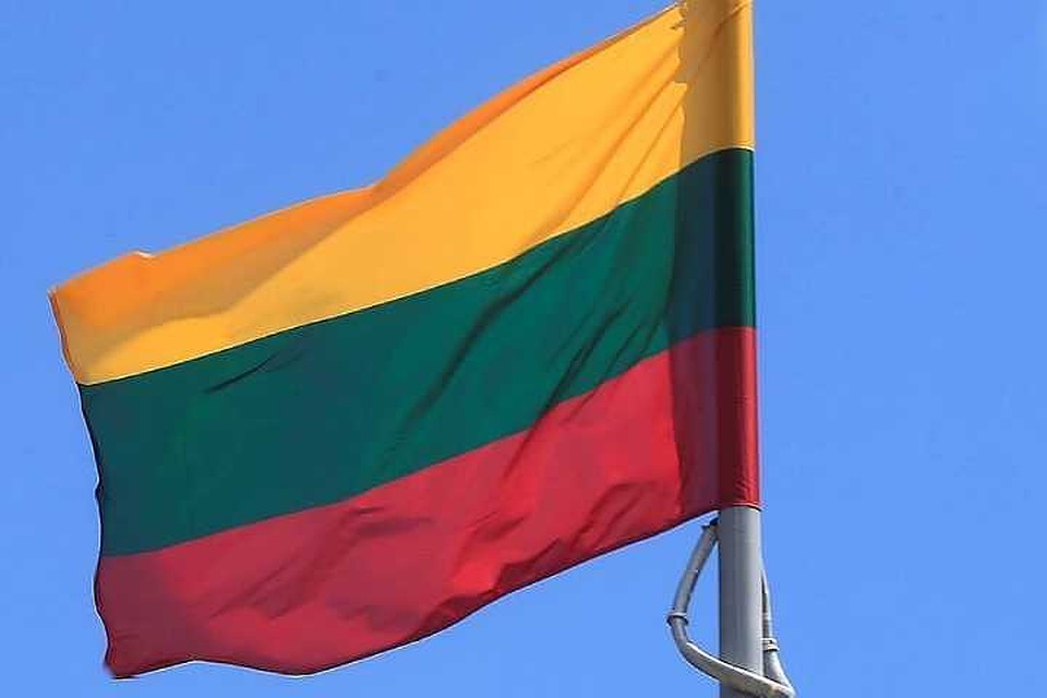 В Литве начался второй тур выборов президента страны