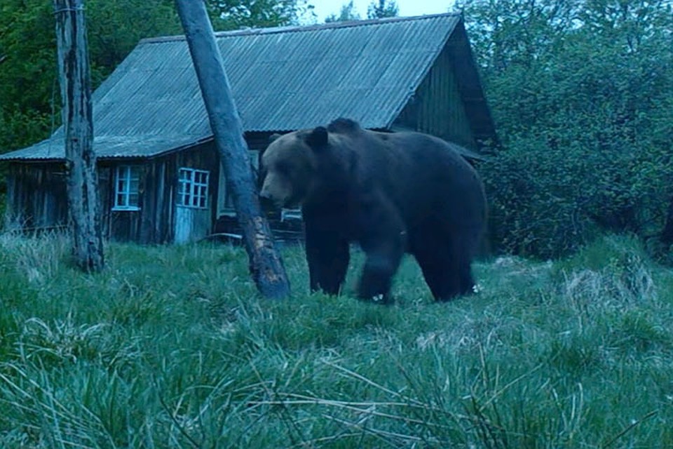 Фото: кадр видео / Naust Eco Station
