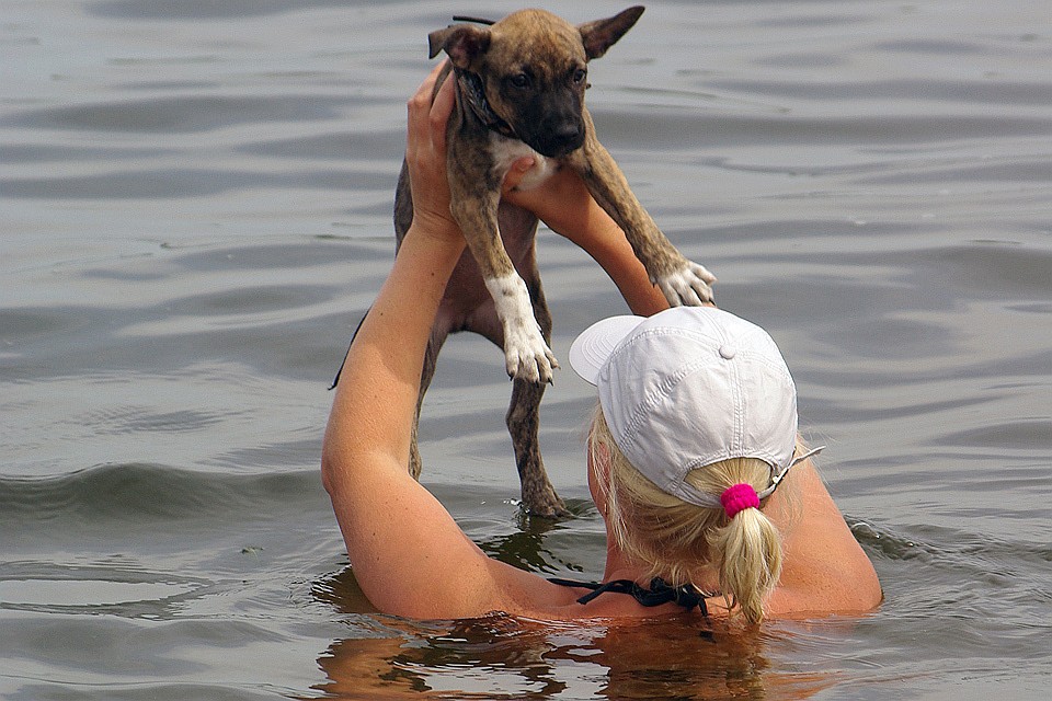 При купании в стоячих и малопроточных зараженных водоемах можно подхватить некоторые виды гельминтов.