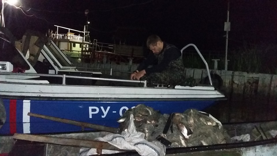 Ущерб, причиненный браконьерами, оценивается в миллион рублей. Фото: оперативная съема ПУ ФСБ по РО.