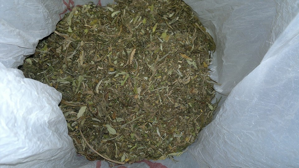 У жительницы Тольятти обнаружили пакет с марихуаной Фото: https://63.мвд.рф