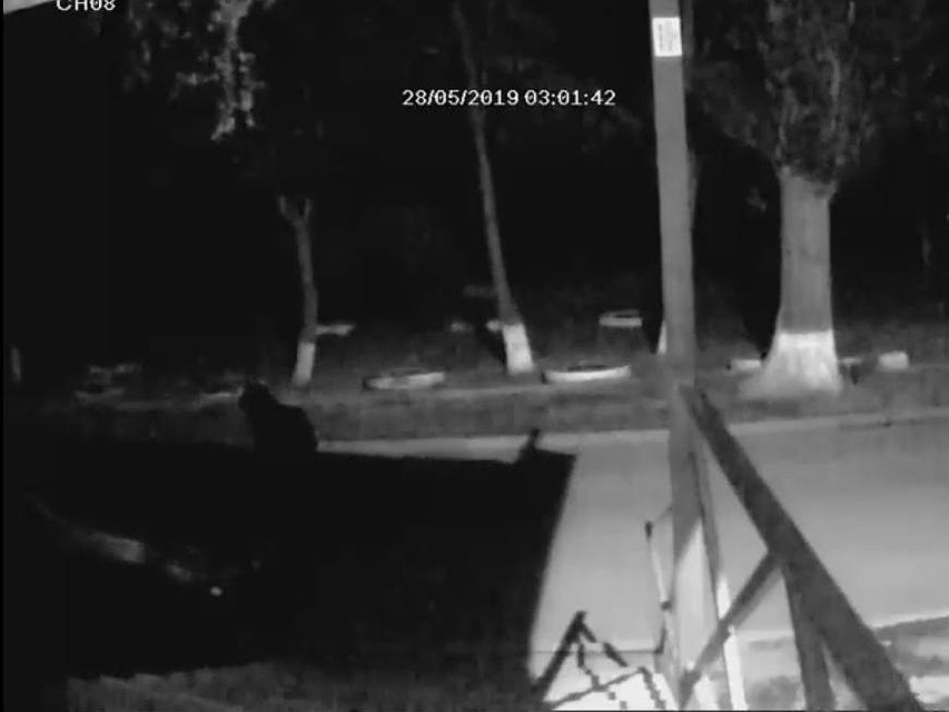 Кадр видео "Безопасного дома"